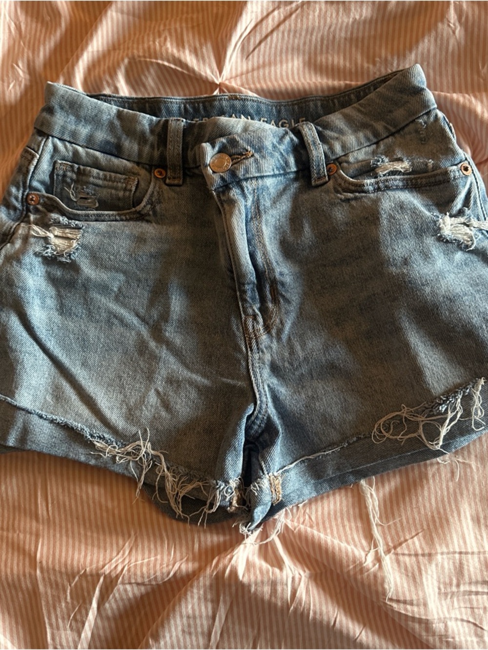 American Eagle Outfitters Light Blue Distressed Denim Shorts